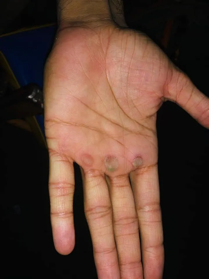 Green Seekers Activity